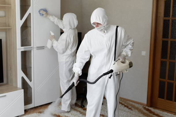 Best Mold Testing  in Fort Recovery, OH